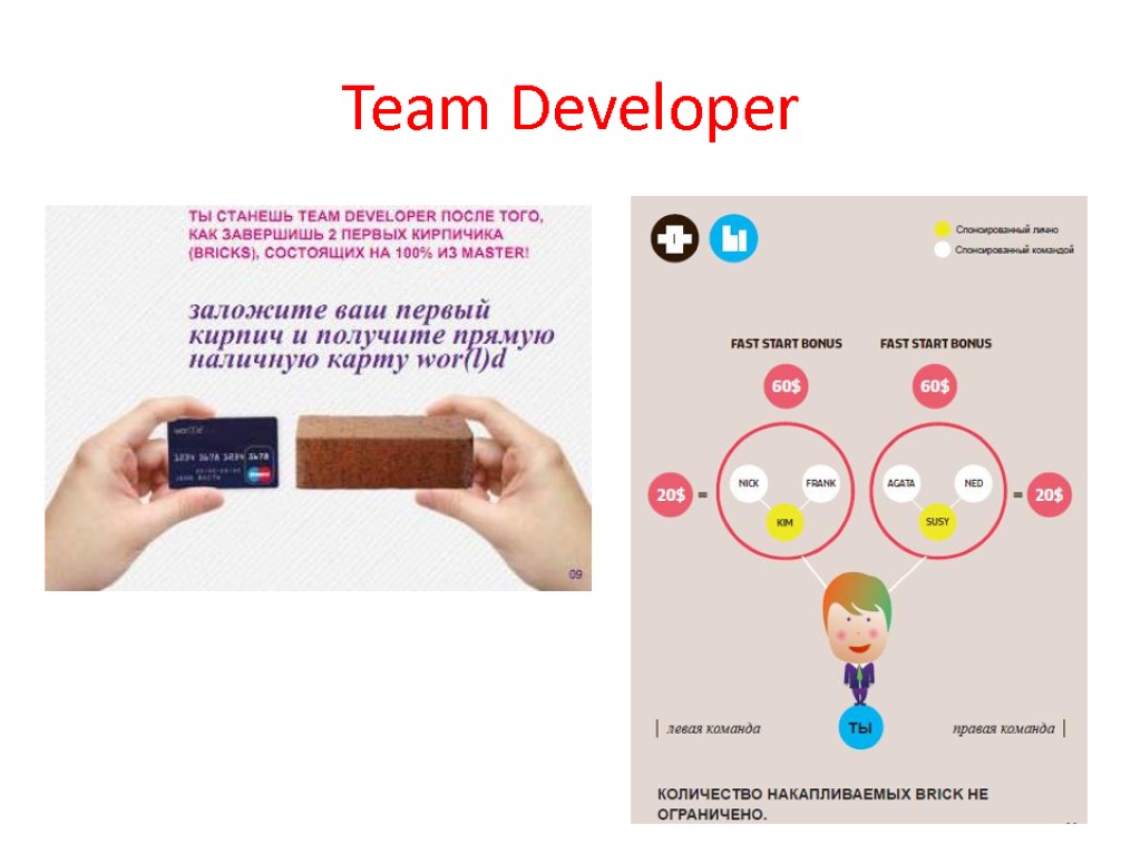 Team Developer